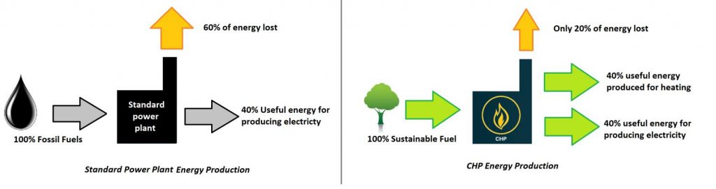 Combined Heat and Power (CHP) efficiency comparison with conventional power generation using Miscanthus biomass