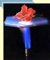 Global aerogel market expansion driven by sustainable materials including Miscanthus nanocellulose